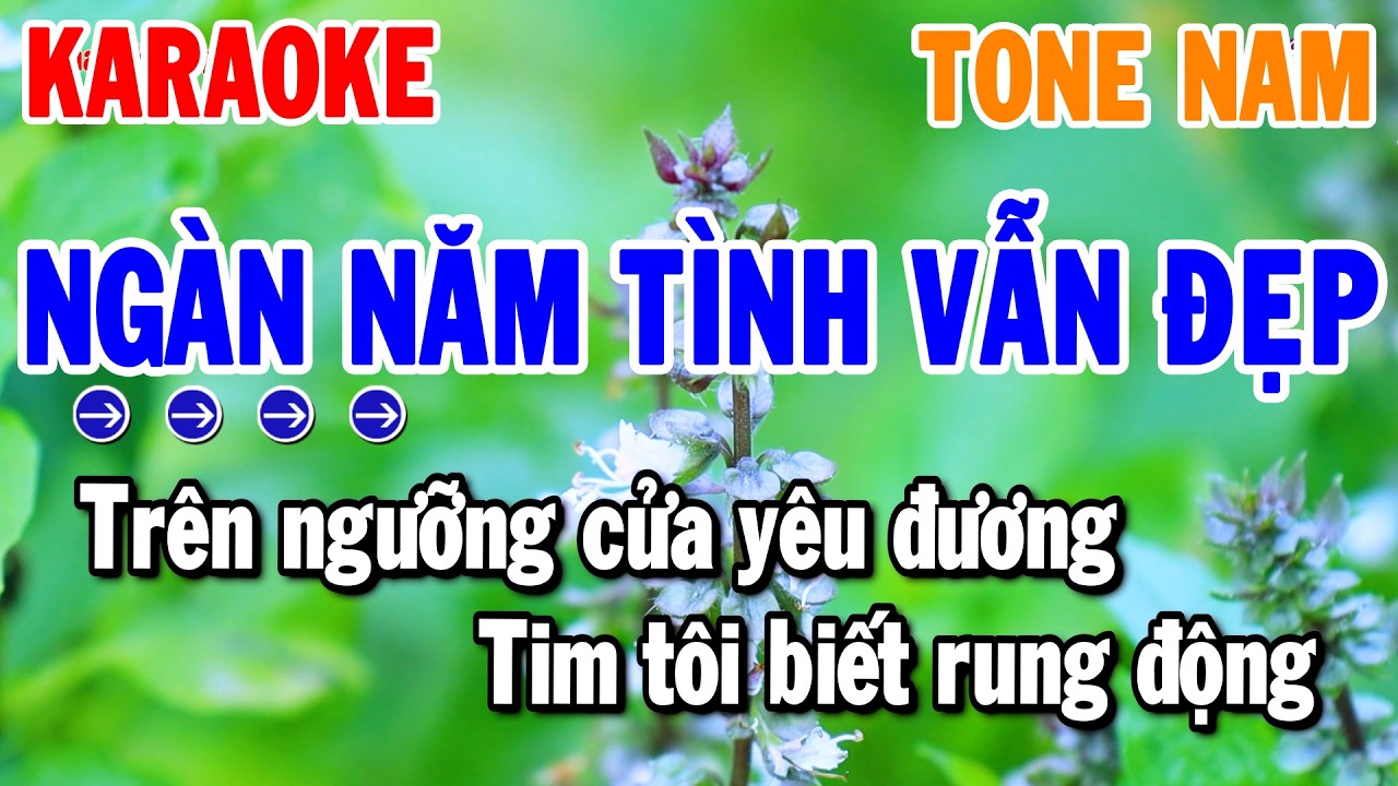 Ngàn Năm Tình Vẫn Đẹp Karaoke Tone Nam Nhạc Sống Rumba Dễ Ca | Thanh Hải Organ