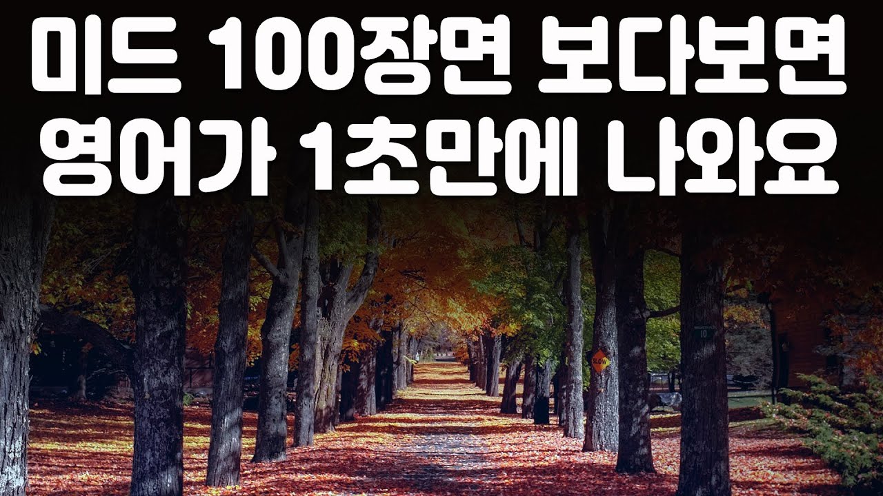 귀와 입이 트이는 미드 100장면 12편,  미드 영어표현을  보다보면 영어가 1초만에 나와요 ( 영어회화, 영어 듣기 )