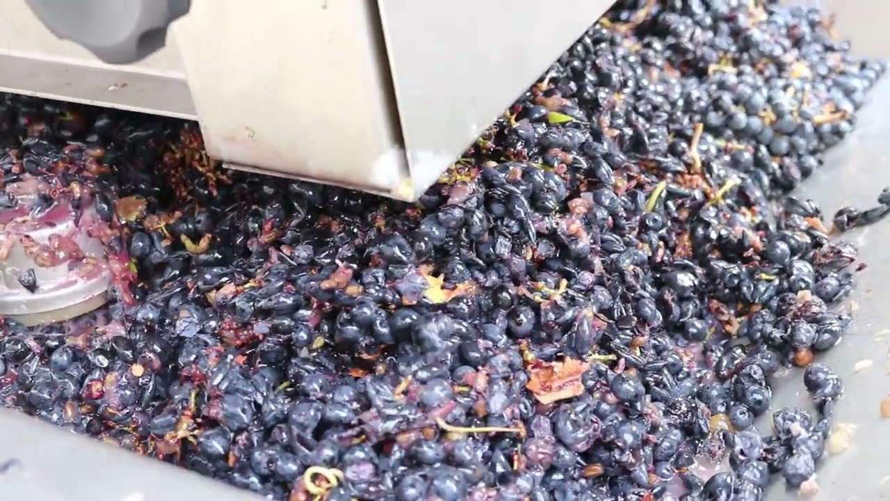 Oprema za vino - Muljače za groždje