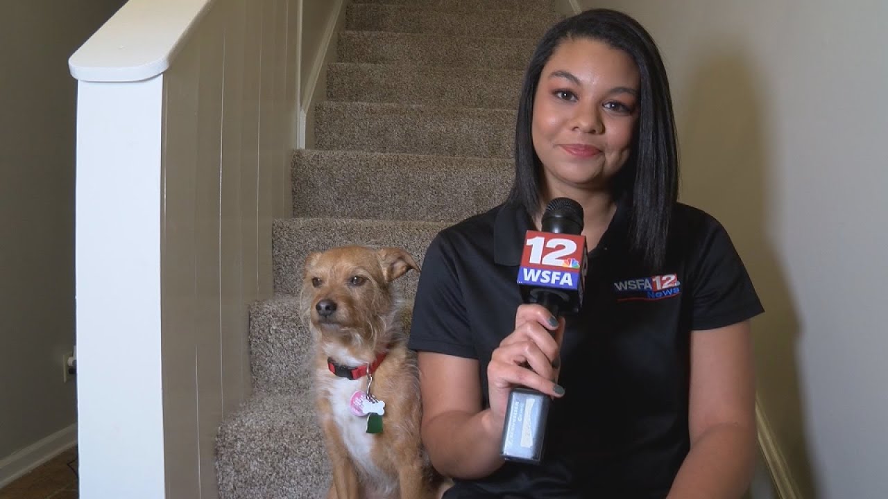 2021 ABBY Awards - Sports Personality: Hailey Sutton WSFA 12 Sports