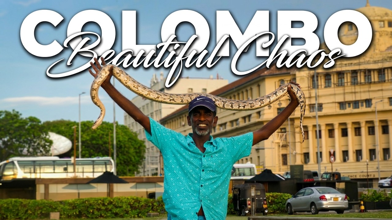 &ldquo;Colombo: Beautiful Chaos&rdquo;