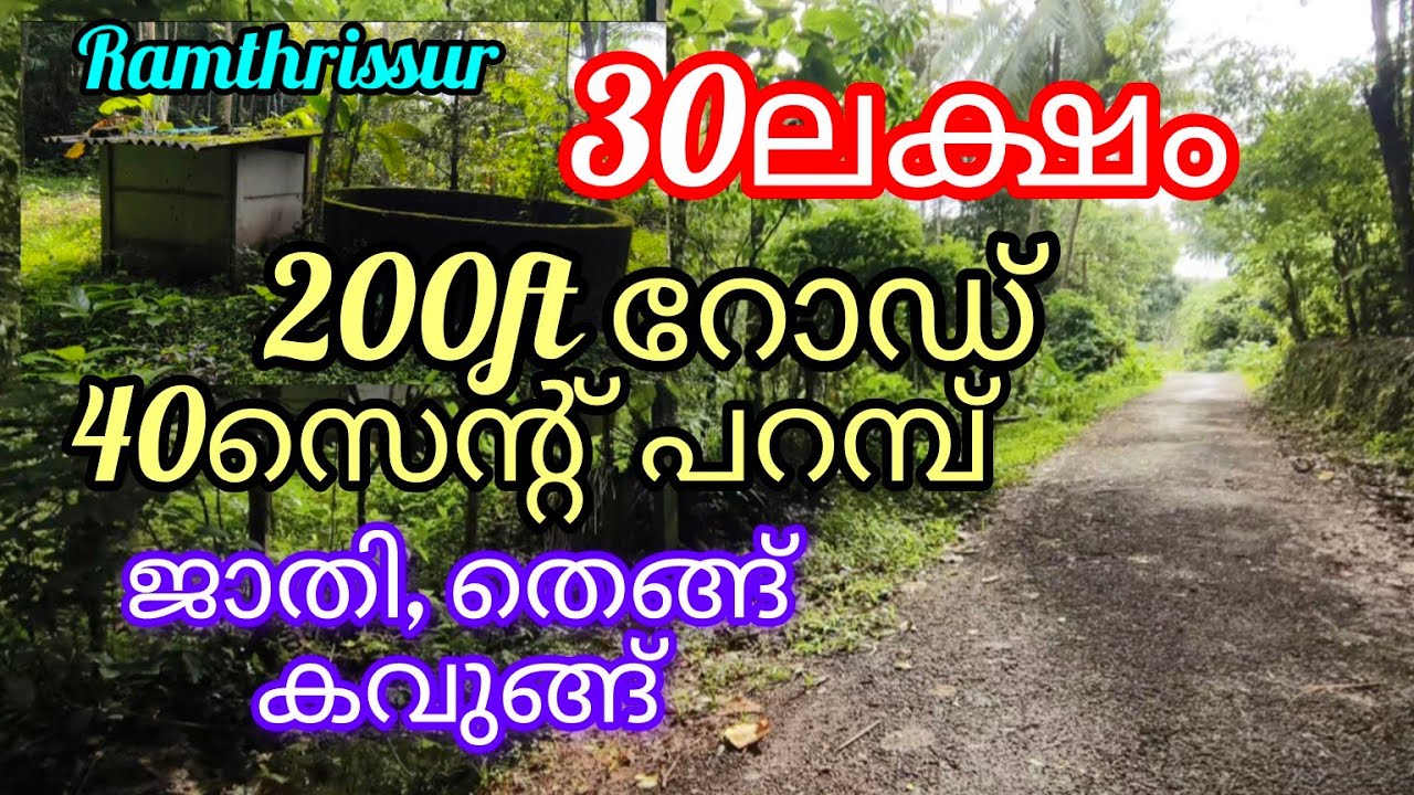 40സെന്റ് ജാതി തെങ്ങ് കവുങ്ങ് -30ലക്ഷം രൂപയ്ക്ക് |40cent plot -30Lack jathi thengu |