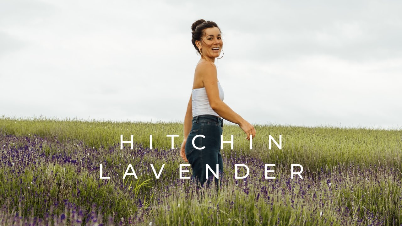 Hitchin Lavender Fields - Highlights