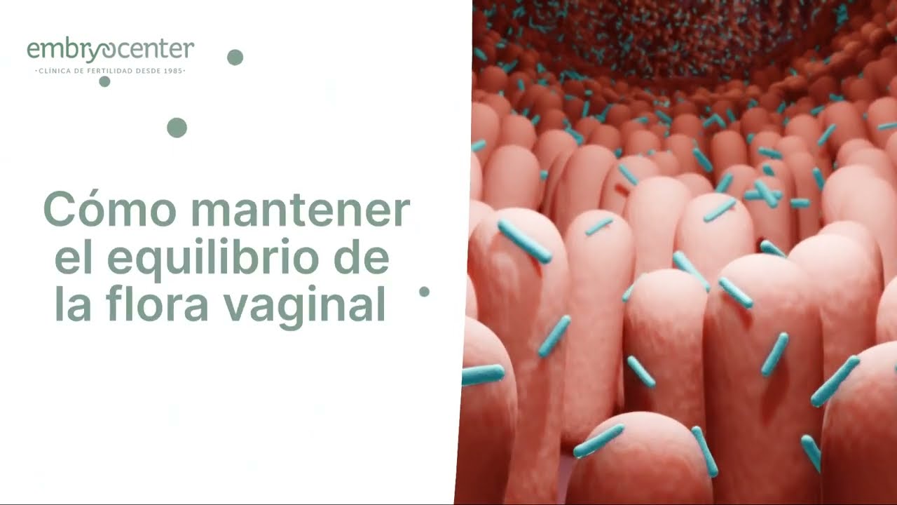 ¿Cómo mantener el equilibrio de la flora vaginal?