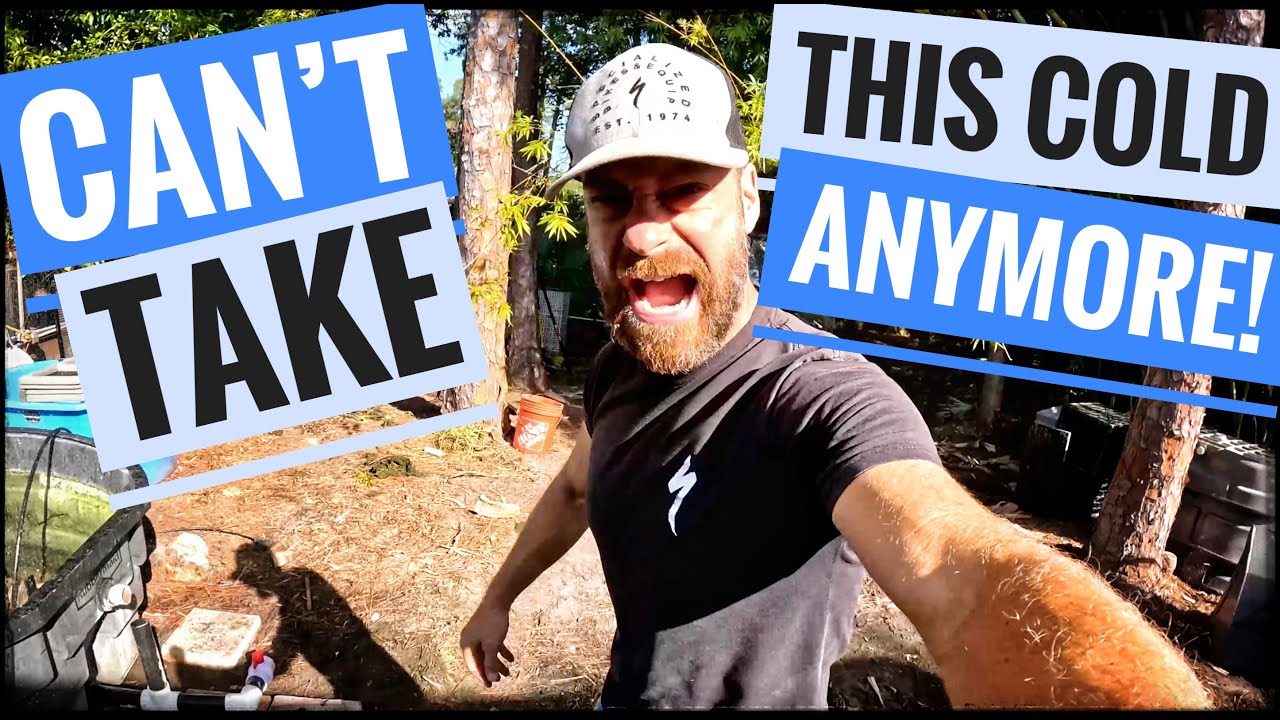 Saving Sick Turtles & Fish in this COLD!