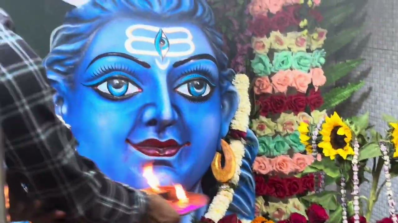 Shivratri full vlog 