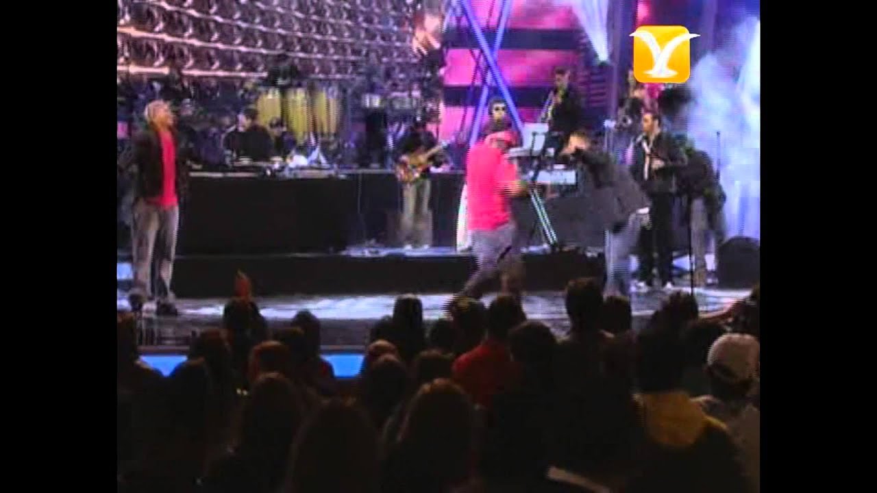 Don Omar, Dile, Festival de Viña 2010