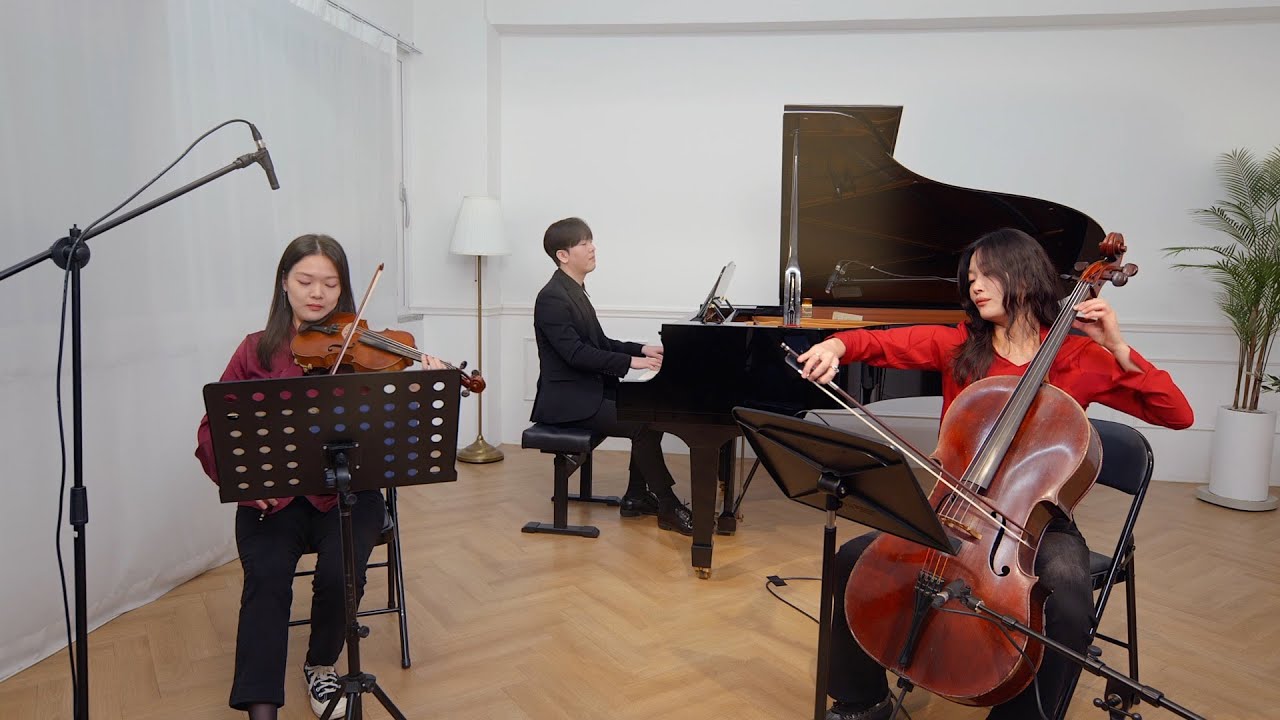 Merry Christmas! Carol Medely_Violin,Cello,Piano