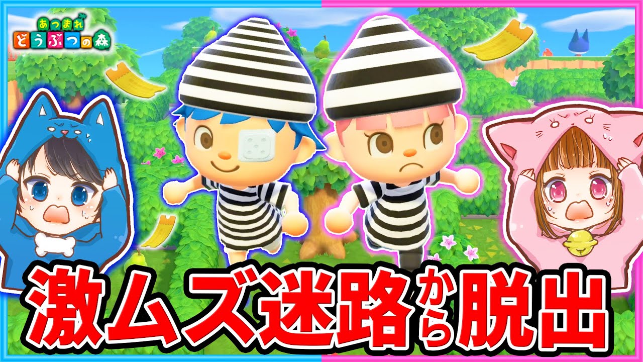 アプデで追加された巨大迷路メーデー島から脱出せよ！【あつ森】【メーデーイベント/アスレチック】