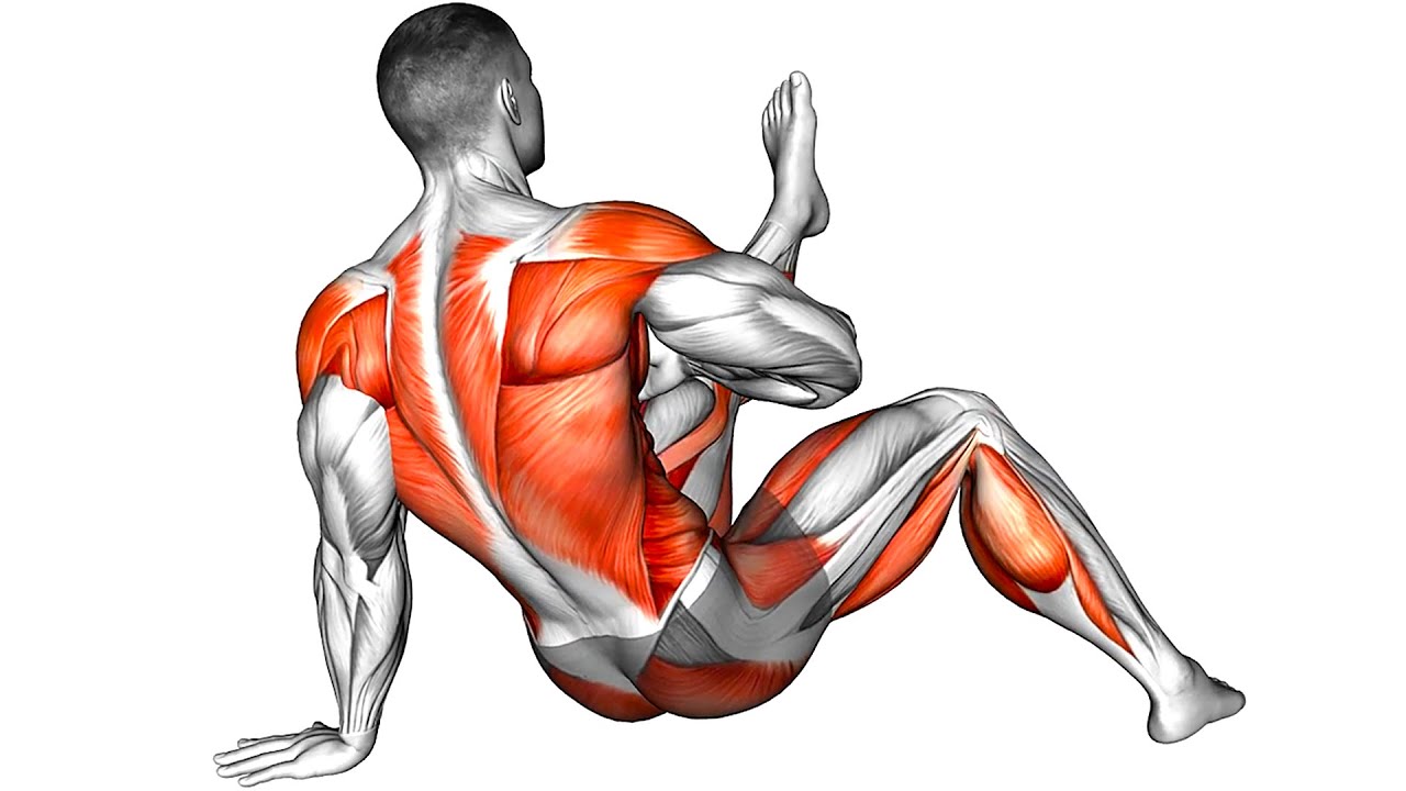 Calisthenics Exercises for Building Muscle and Increasing Strength