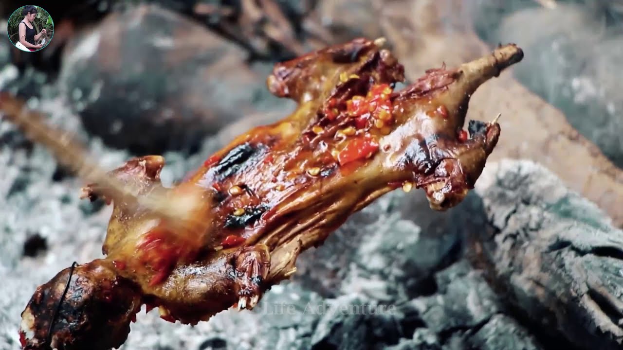 Survival skill by Cooking Squirrel and eating delicious in forest - Life Adventure