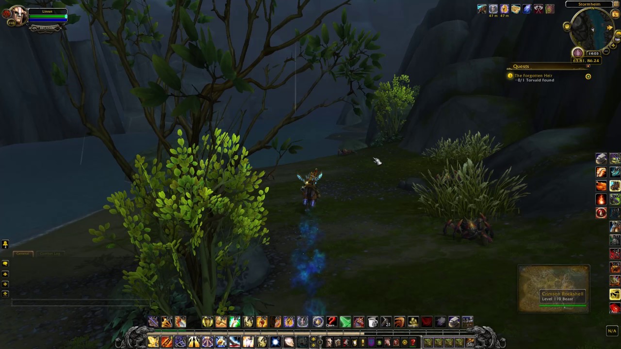 The Forgotten Heir Quest ID 45524 Playthrough WoW