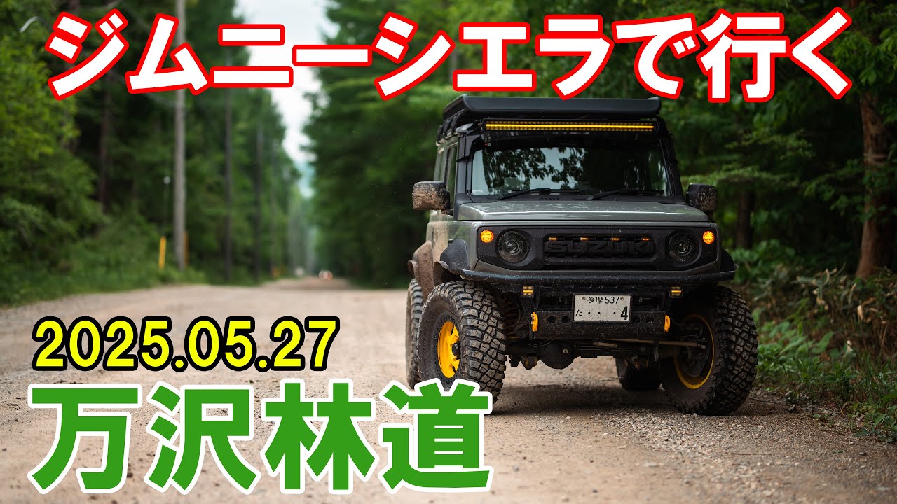 【林道】群馬｜万沢林道【2025.05.27】