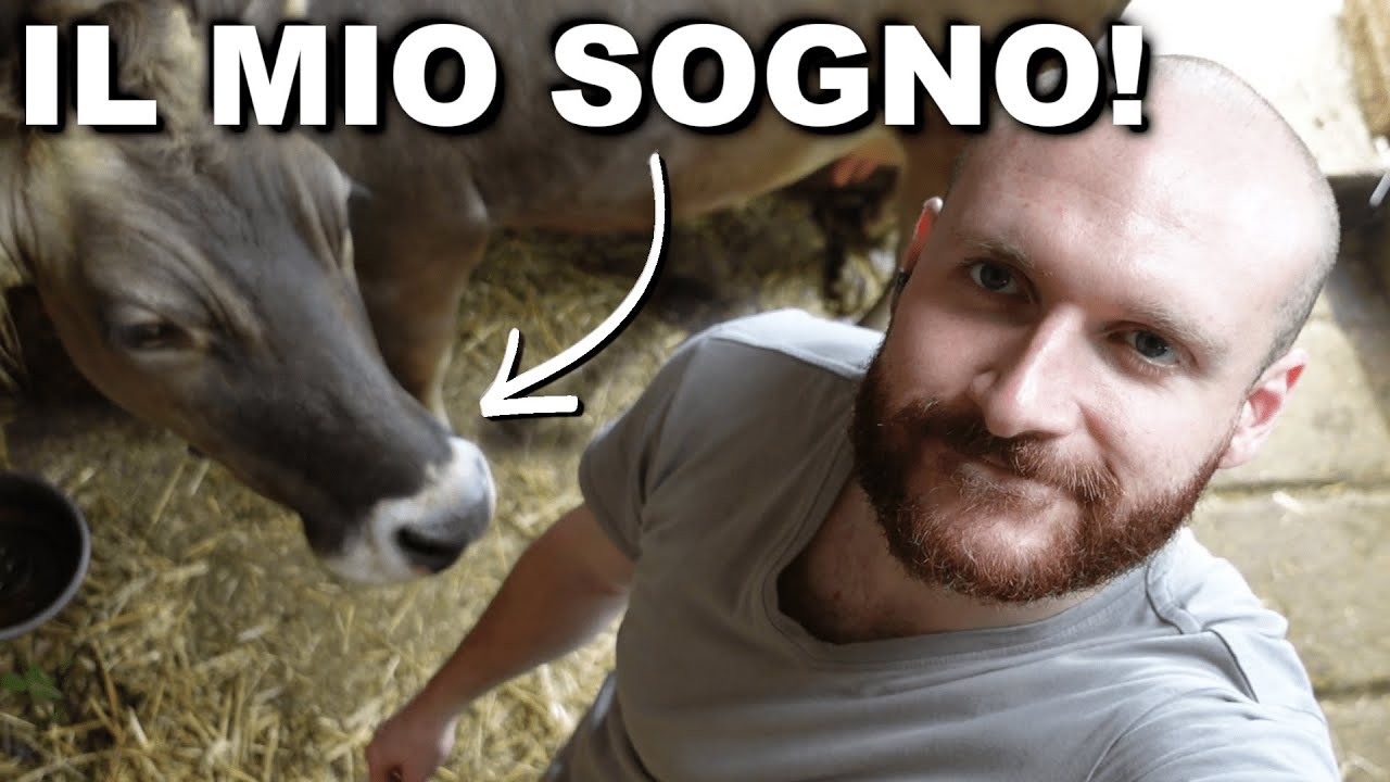 Dove Voglio Arrivare Con La Mia Azienda Agricola? - Piani Per Il Futuro🎑👨🏻‍🌾