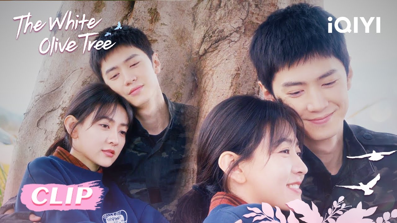 🩷CLIP: Song Ran sneaks a kiss on Li Zan! 😘💓 EP33&34｜The White Olive Tree | iQIYI Romance