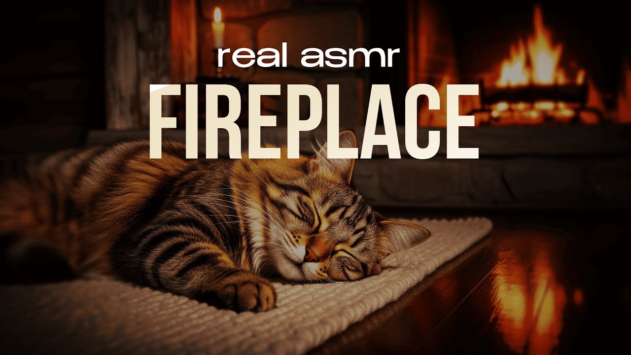 Cozy Fireplace ASMR 🐱🔥 Relax with a Sleeping Cat | Deep Calm & Stress Relief