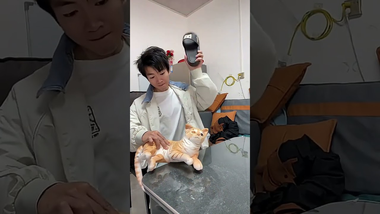 What a smart cat😂 #cats #funnyvideo #animatedcartoon #stories #funyshorts #1000subscriber #1million