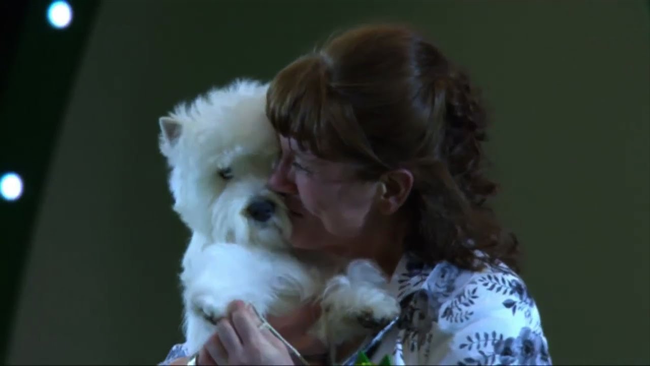 Around the Dog World - Crufts & Pawscars 2016 (Ep 53)