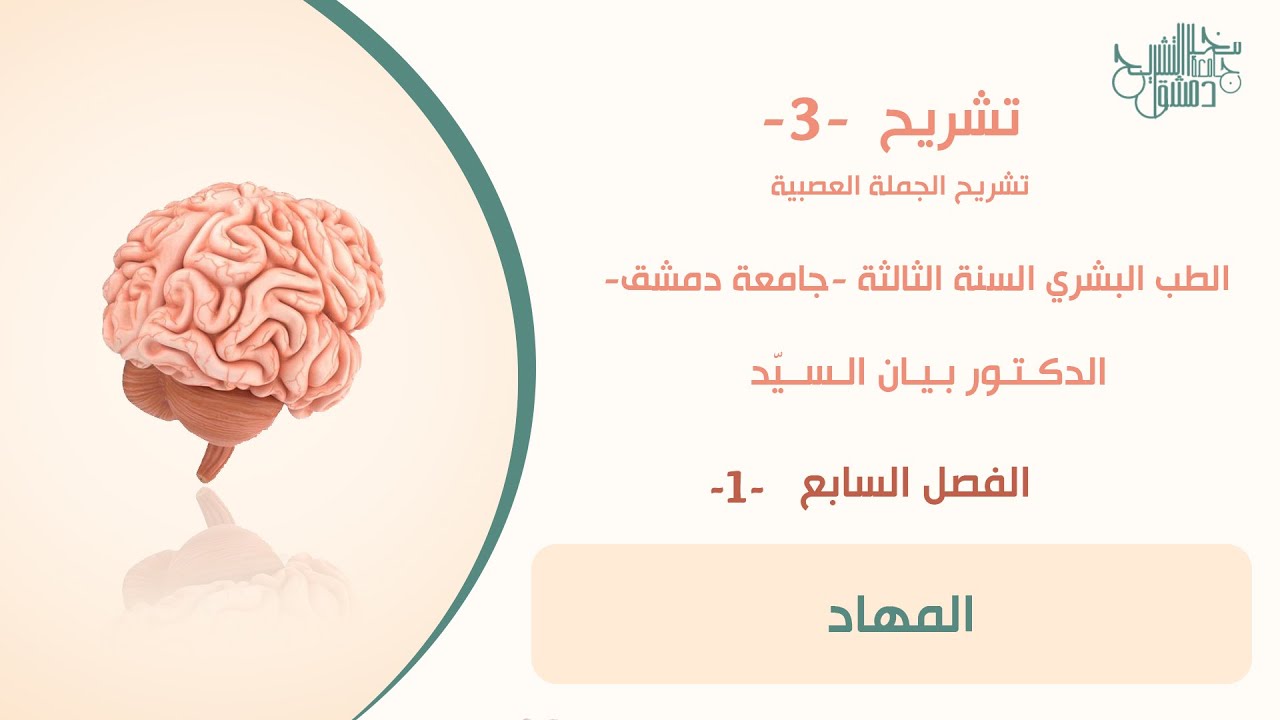تشريح 3 | الفصل السابع -1- | المهاد | د. بيان السيد
