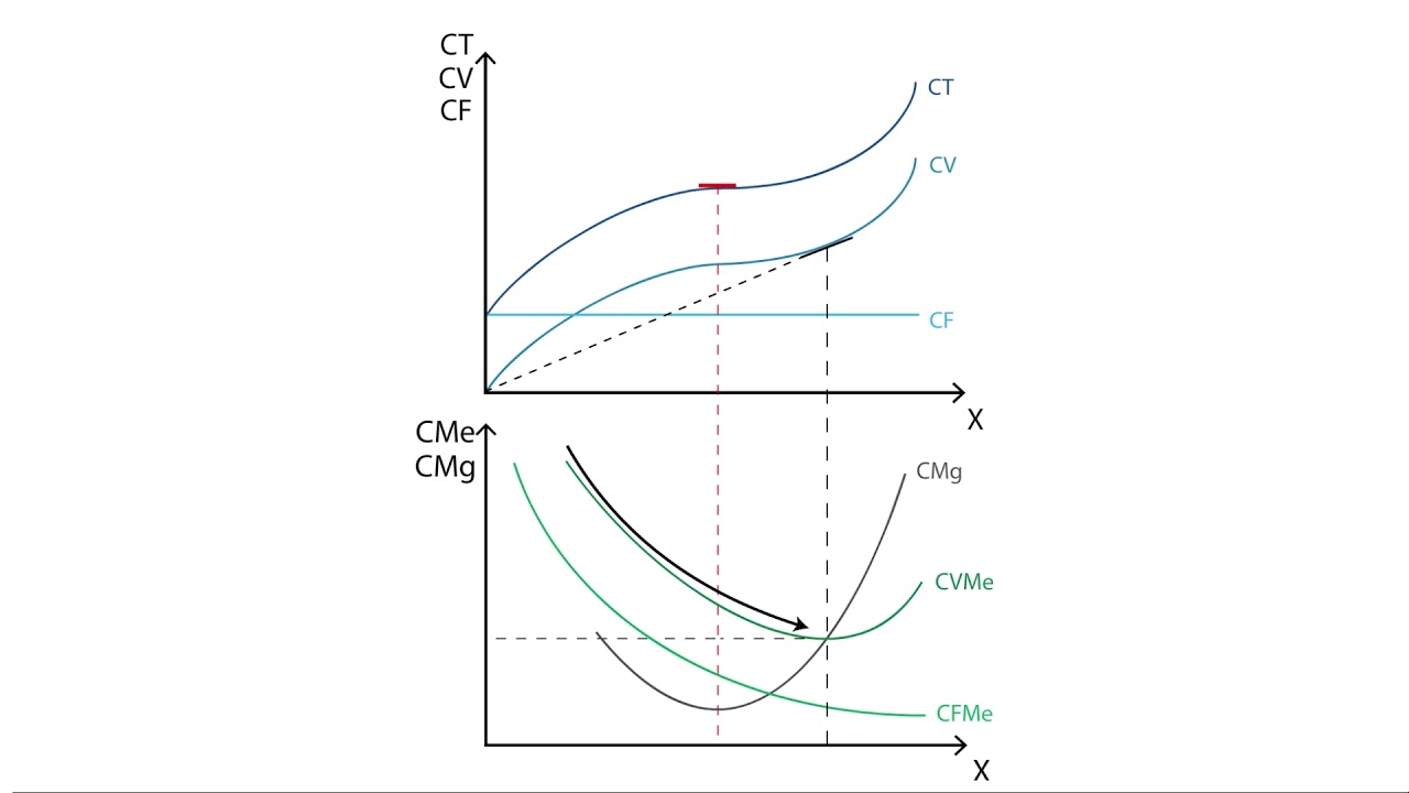 C.2 Coste medio y coste marginal | Coste - Microeconomía