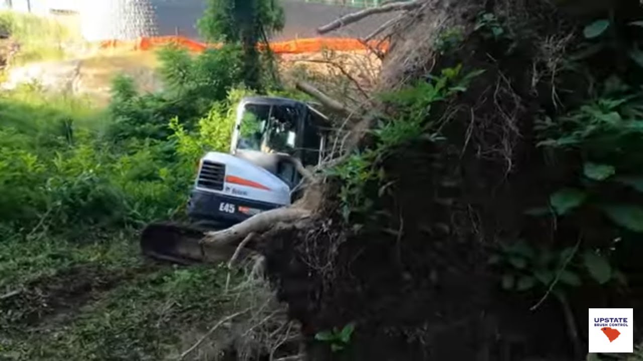 Getting a Hung-up Tree Unstuck