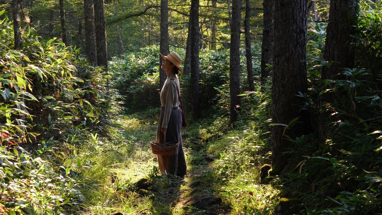 Daily life in the mountains and how I perceive the forest. 私が森を知覚する方法