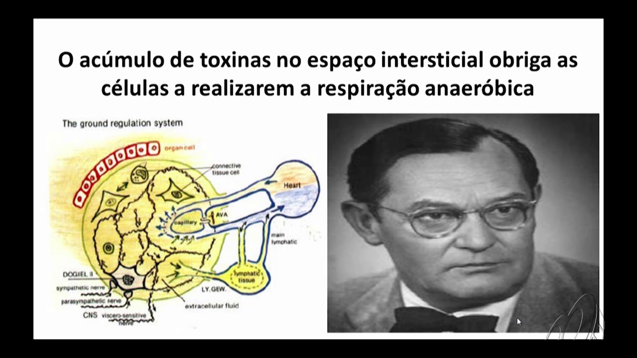 As teorias do c&acirc;ncer