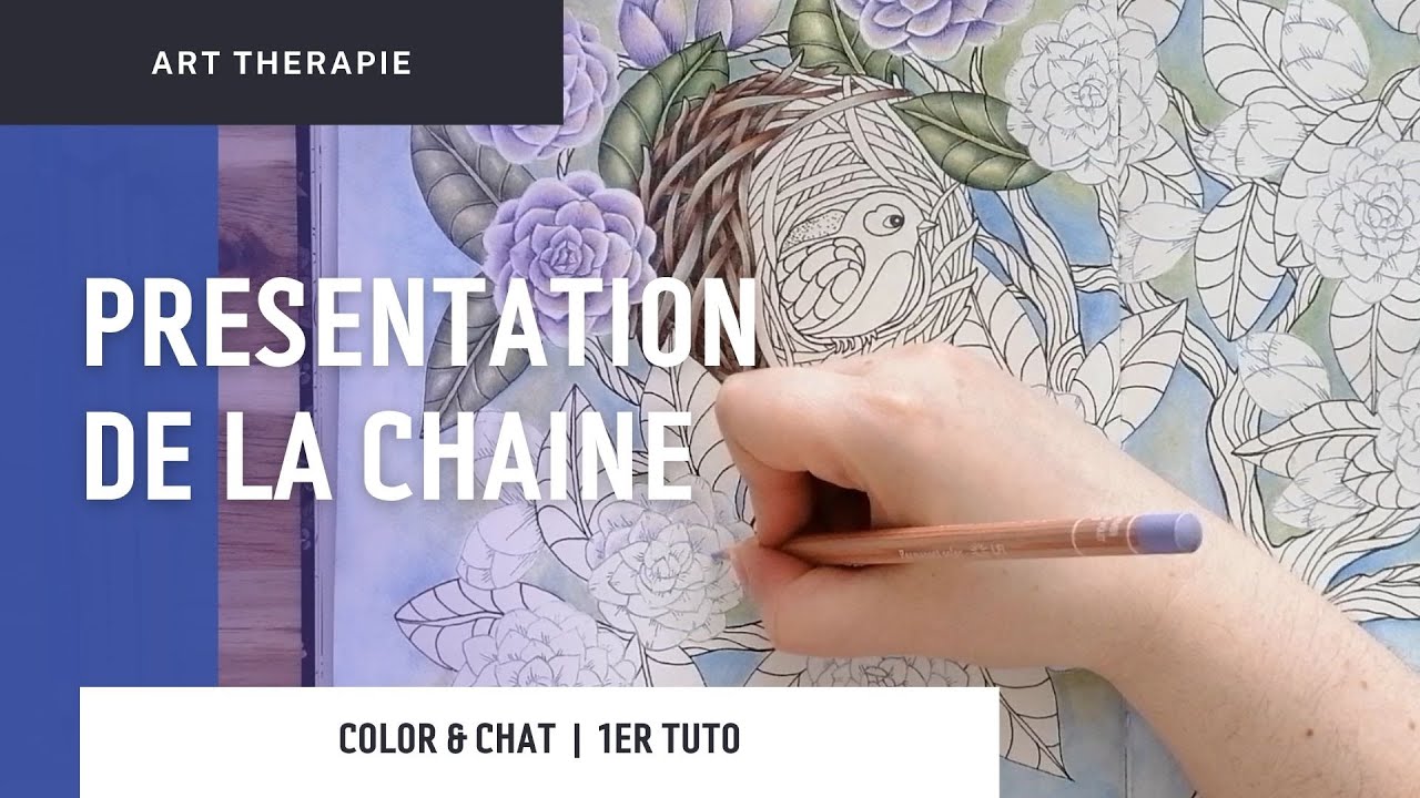 Présentation de la chaîne | Color & chat - 1er tuto