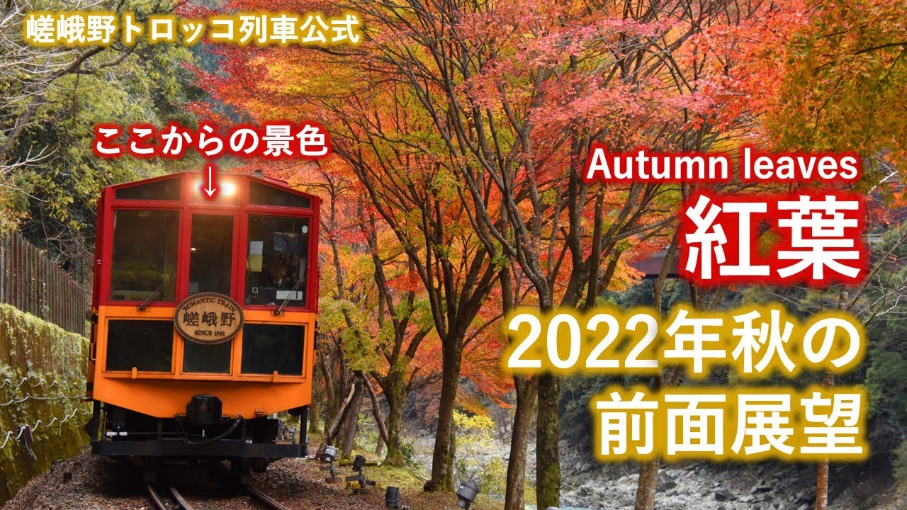 2022年秋 SK運転台からの前面展望動画 (The front view of Sagano Romantic Train in autumn, 2022)