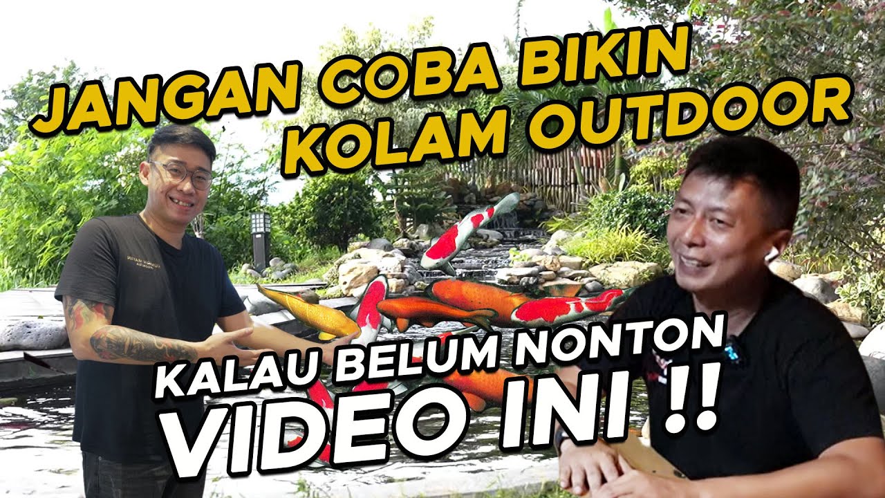 SHARING EDUKASI BLESS KOI DALAM PEMELIHARAAN KOLAM KOI OUTDOOR @BlessChannels