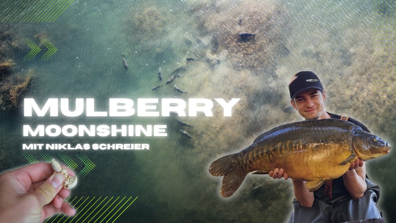 So f&auml;ngst du mit dem Mulberry Moonshine.