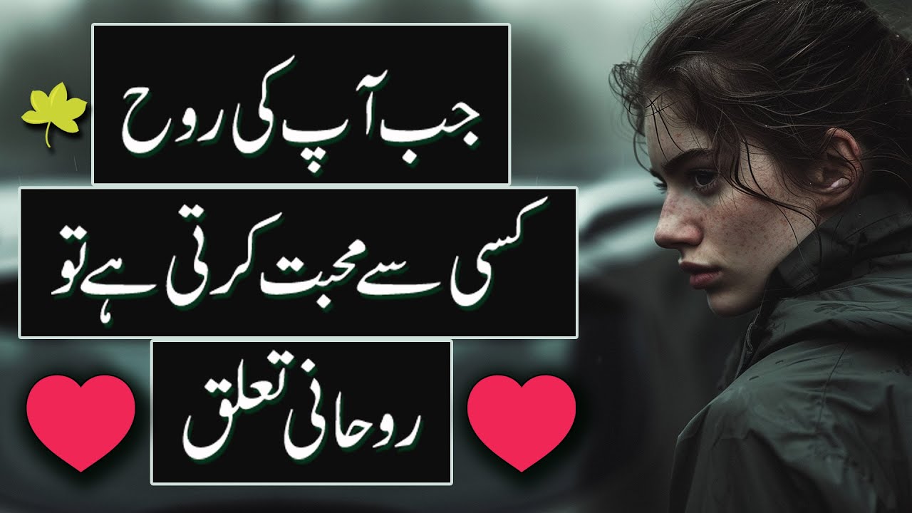 When your soul loves someone, Soul Connection
