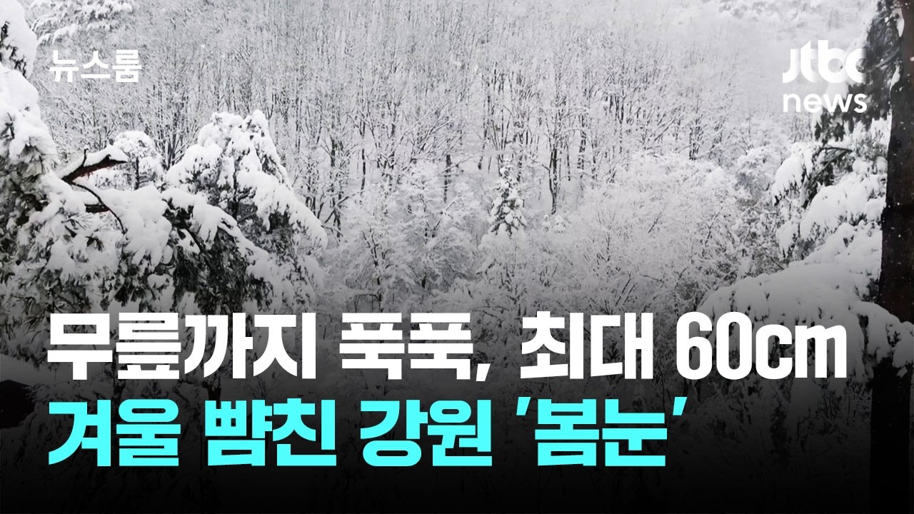 무릎까지 푹푹, 최대 60㎝…겨울 뺨친 강원 '봄눈' / JTBC 뉴스룸