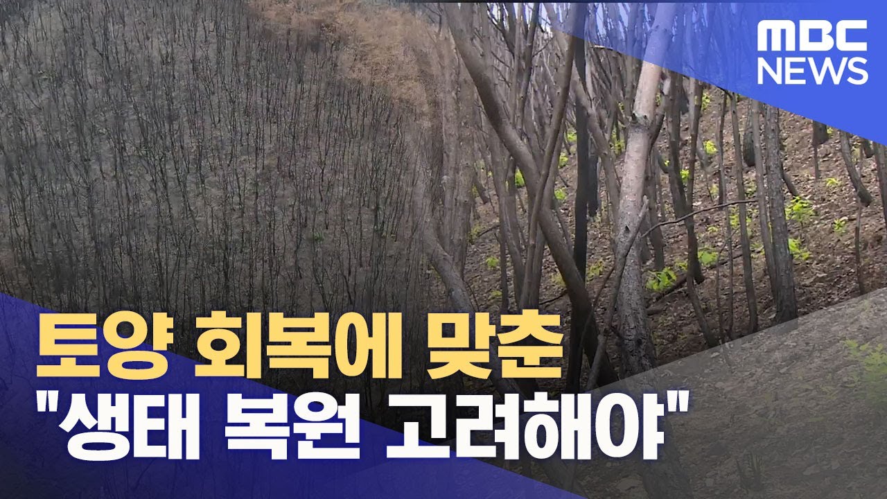 토양 회복에 맞춘 