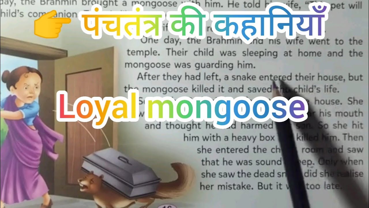 The Loyal Mongoose 🐾 | A Shocking Story That Will Make You Emotional|easy English for bigginers 