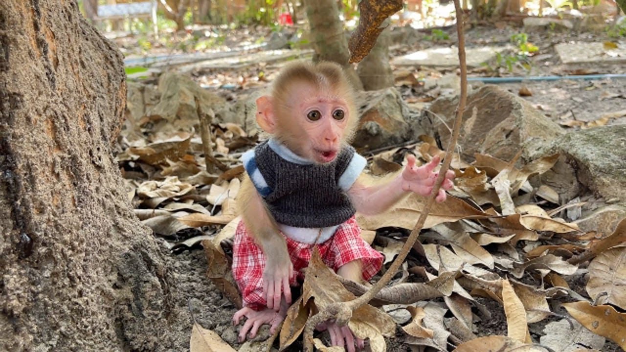 Mommy...! Where Are YOu.....????????