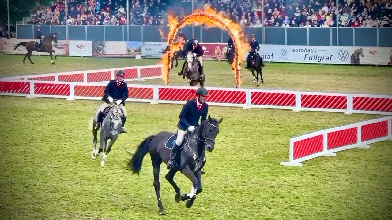 Best of Neustädter HENGSTPARADE 2023