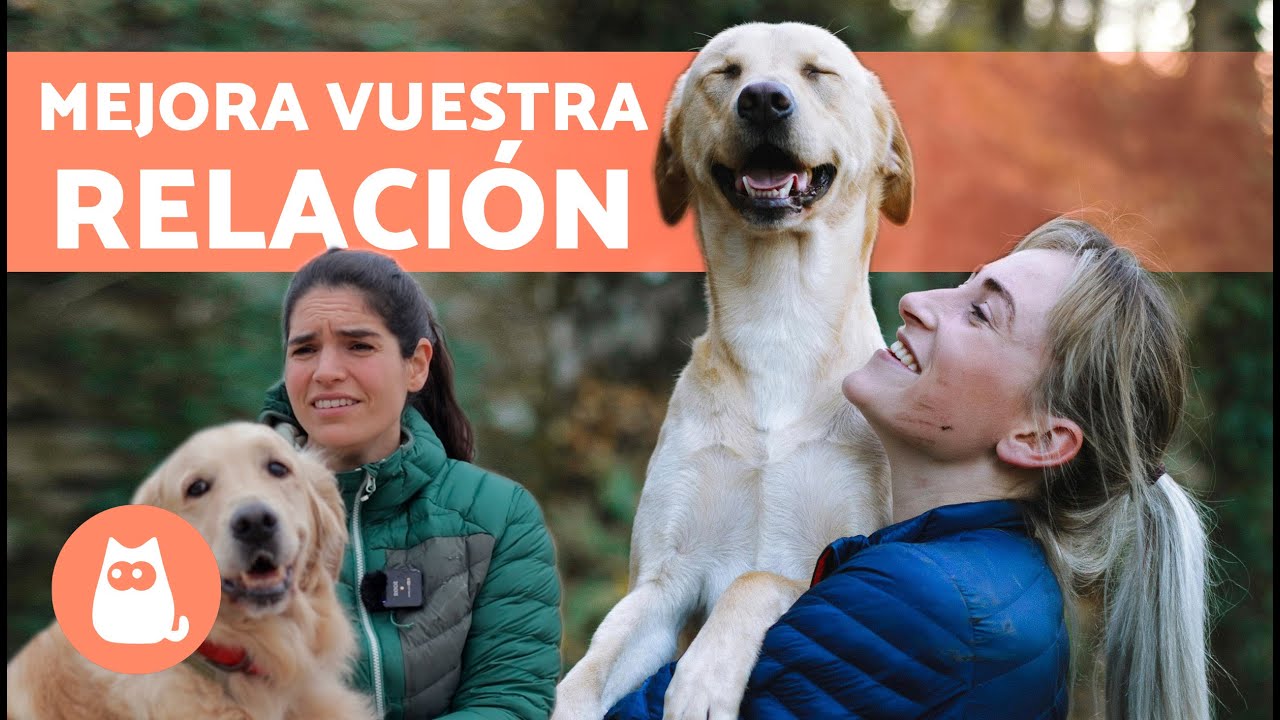 C&oacute;mo CREAR un BUEN V&Iacute;NCULO con tu PERRO 🐶🧍🏻&zwj;♀️ | 7 Consejos de una Educadora Canina ✅