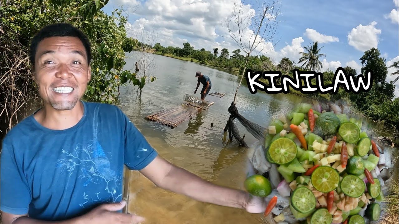 kinilaw! maliliit na tilapia ginawa naming kinilaw pang tanghalian...