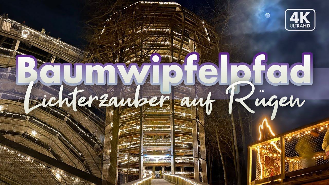 Lichterzauber auf dem Baumwipfelpfad Prora  - Rügen Urlaub 2024 (4K Walk)