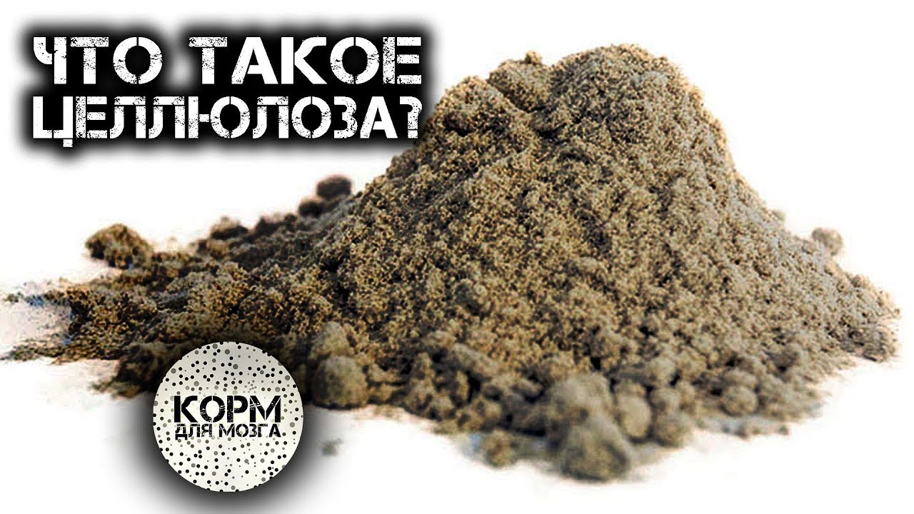 Что такое Целлюлоза?