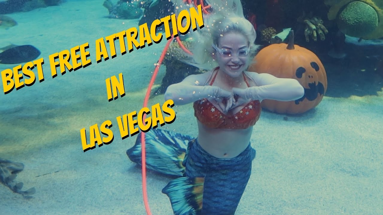 Aquarium Mermaid Show Silverton Hotel & Casino Las Vegas