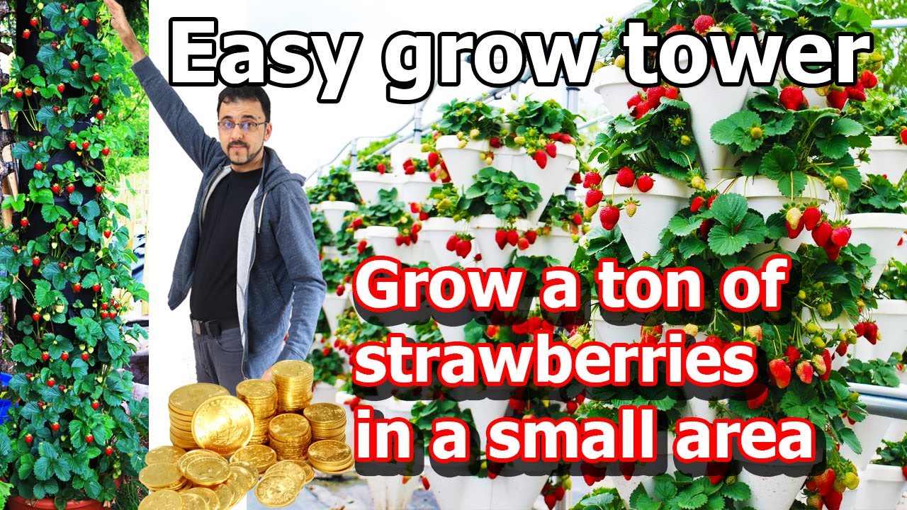 How to build strawberry Tower Garden