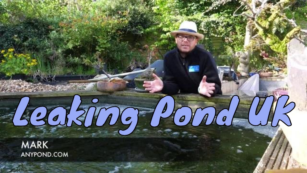 My pond is losing water - leaking pond uk, koi pond leak