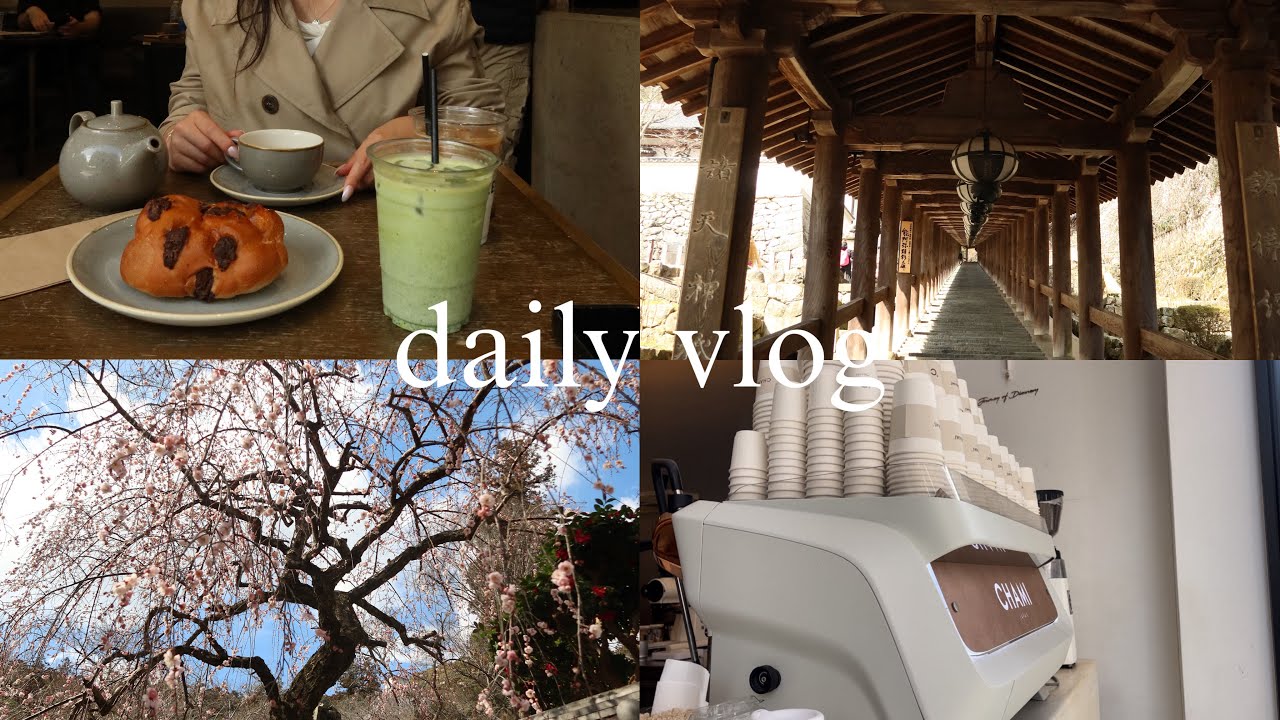daily vlog | 大学生の春休み, cafe, 奈良観光🌸