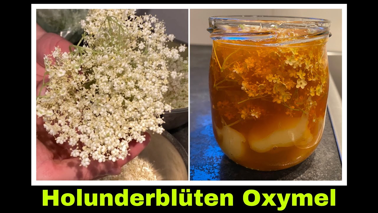 Holunderbl&uuml;ten Oxymel | Sauerhonig mit Apfelessig und Holunder Rezept | Selbstversorgung