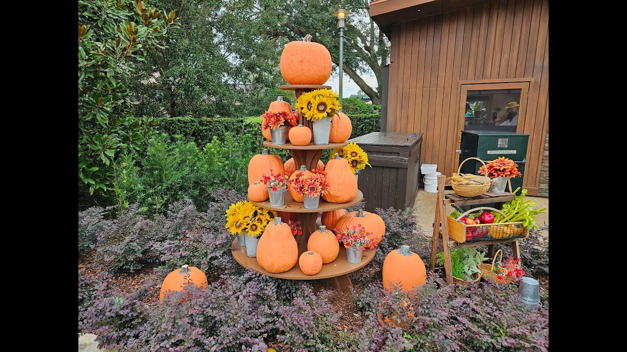 🎃✨ 
