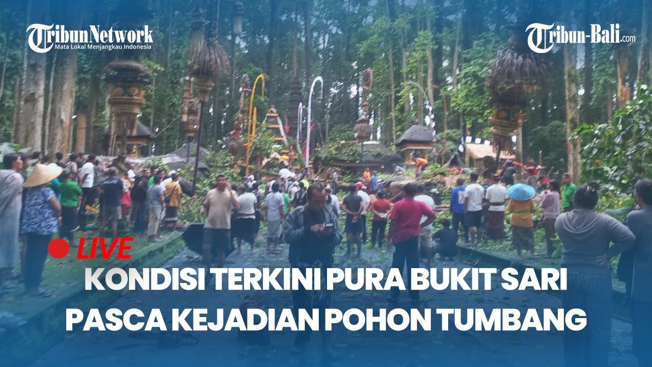 🔴Suasana TKP Pohon Tumbang di Objek Wisata Sangeh Bali, 1 Korban Tewas & Pelinggih Pura Hancur