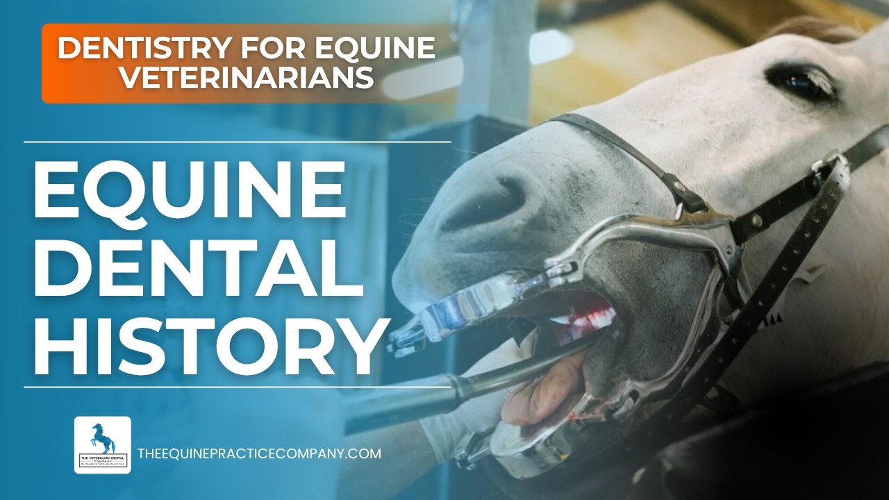 Equine Dental History: Myths, Bits, and the Evolution of Care