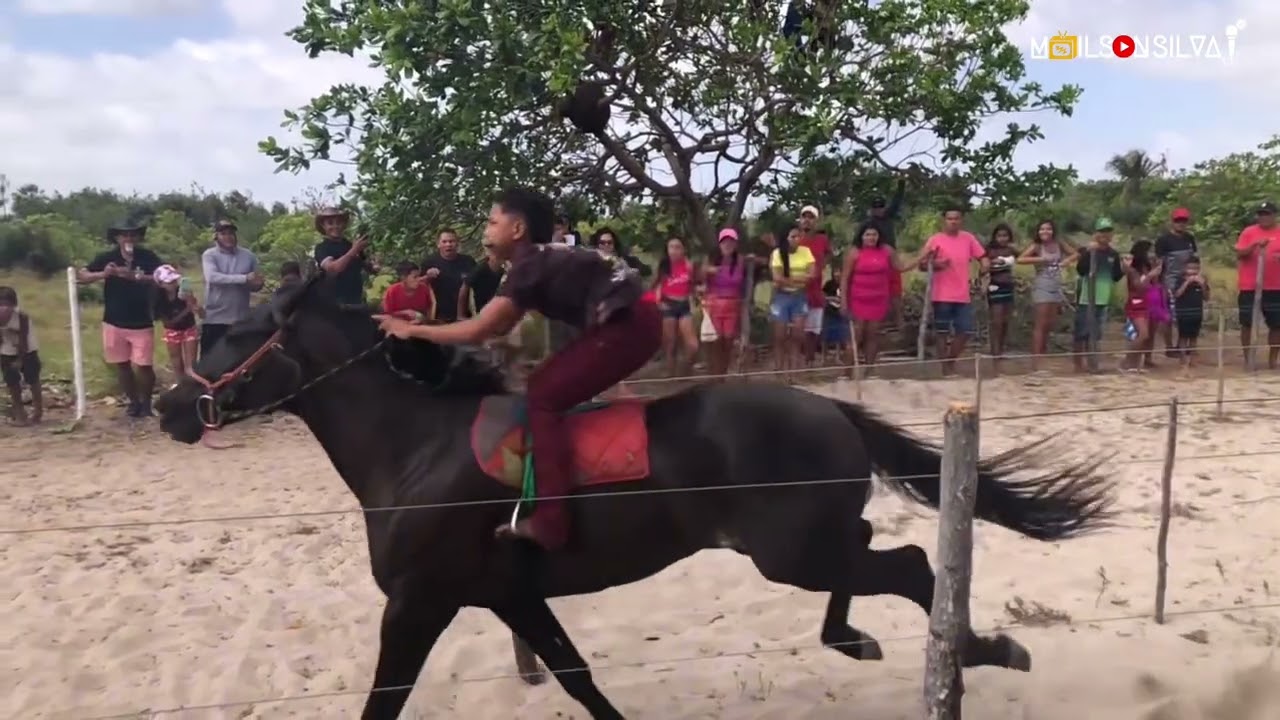 1 Corrida de Cavalo da Fazenda Fachadinha-Boa Vista.